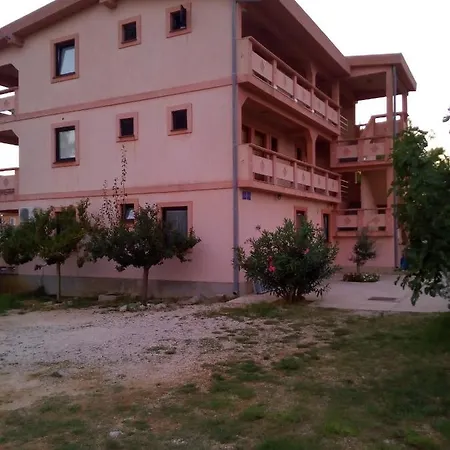 Maslina ויר