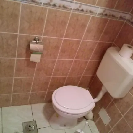 Apartment Maslina *